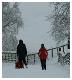 snow1